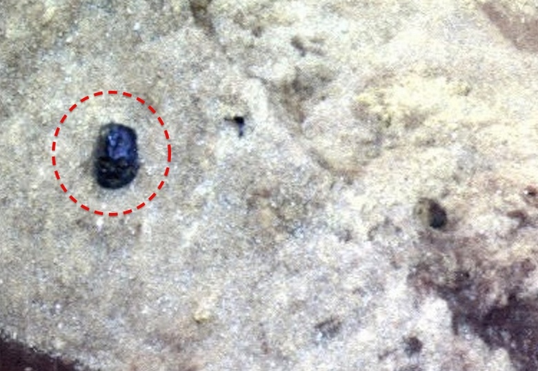 Na obrázcích z Marsu nalezeno