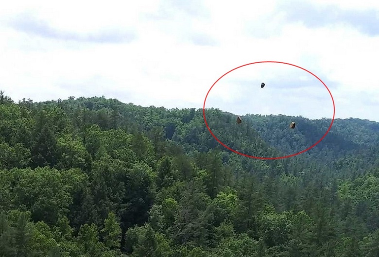 Vada nalezená na fotografii byla nazvána
