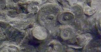 V Kamčatce byli mimozemšťané