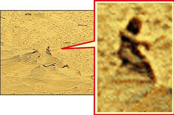 Slavný Marťan z kráteru Gusev