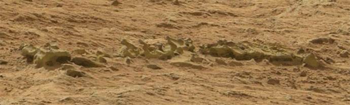 Na Marsu objevil kostru neznámého zvířete?