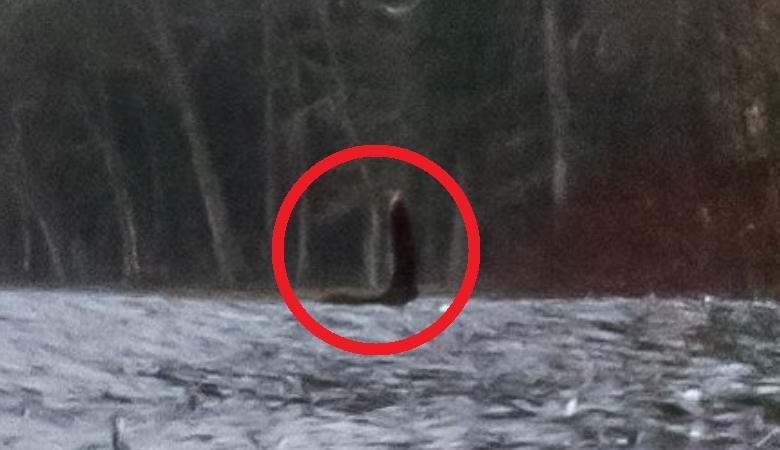 Na panoramatech Google našel jasný záběr Nessie.