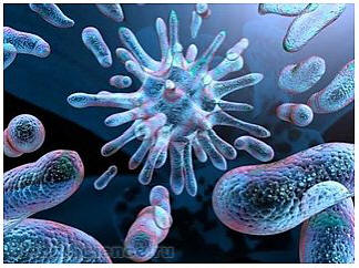 Spící živý organismus byl objeven na povrchu Marsu