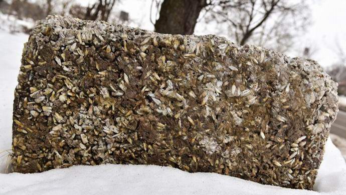 Na ulici v USA leží kámen s tisíci lidských zubů.