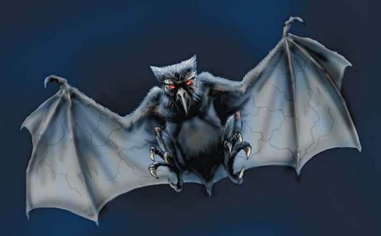 Obrovský pár se zamiloval