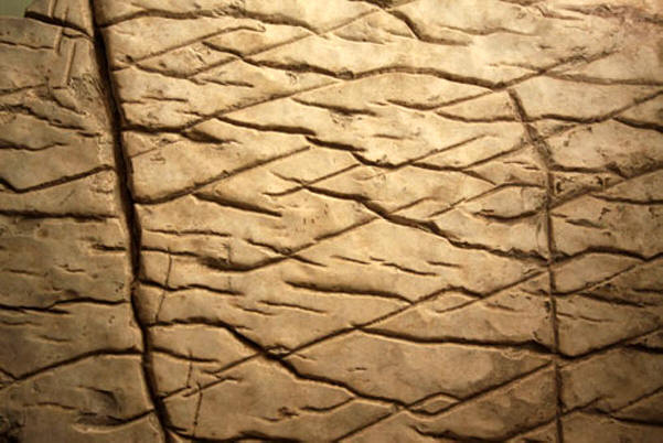 Na Zemi bylo mnoho civilizací.