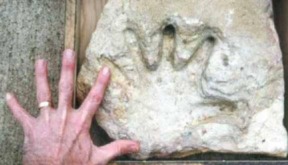 Na Zemi bylo mnoho civilizací.