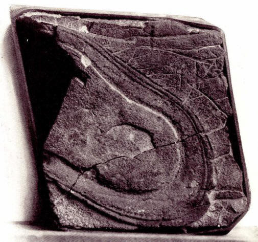 Na Zemi bylo mnoho civilizací.