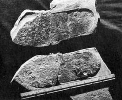 Na Zemi bylo mnoho civilizací.