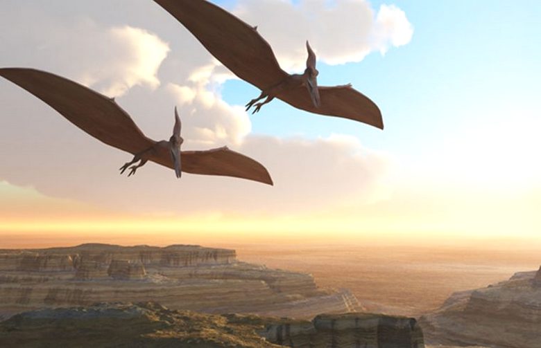 Pozorování pterodaktylů poblíž slavné Roswell