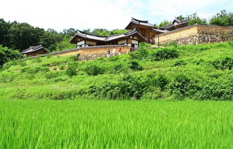 Stvoření velmi podobné andělovi bylo natočeno přes Jižní Koreu.