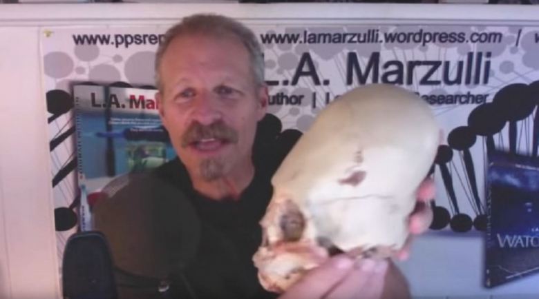 Zjištění v Antarktidě v posledních letech