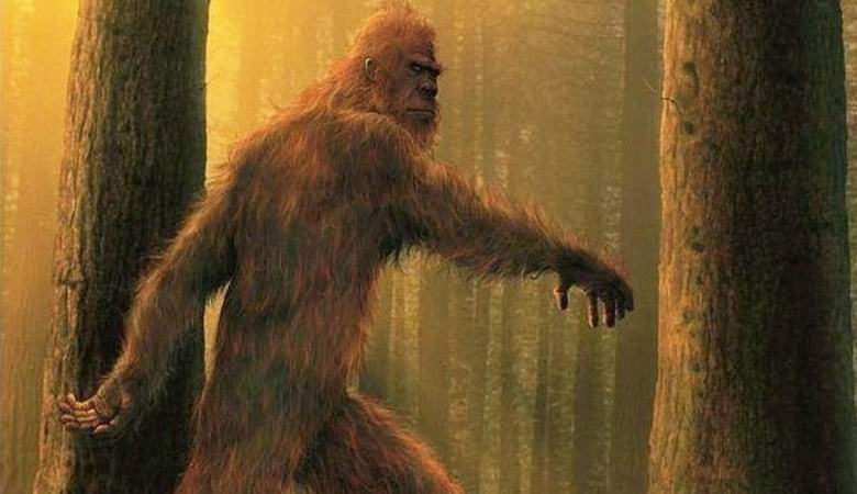 Nalezeno Yeti, která nedávno opustila skladby v Texasu