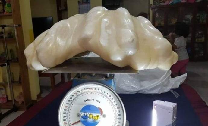 Našel jsem rekordní perlu v hodnotě sto milionů