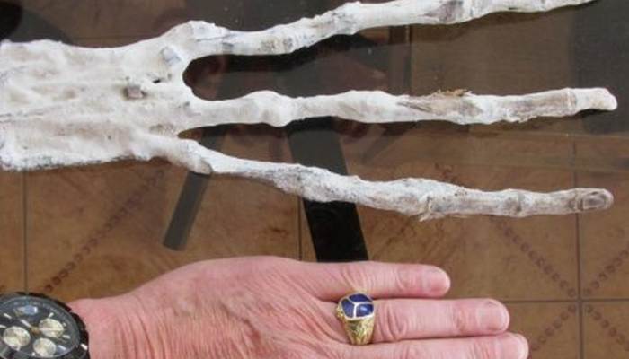 Našel jsi mimozemskou ruku?