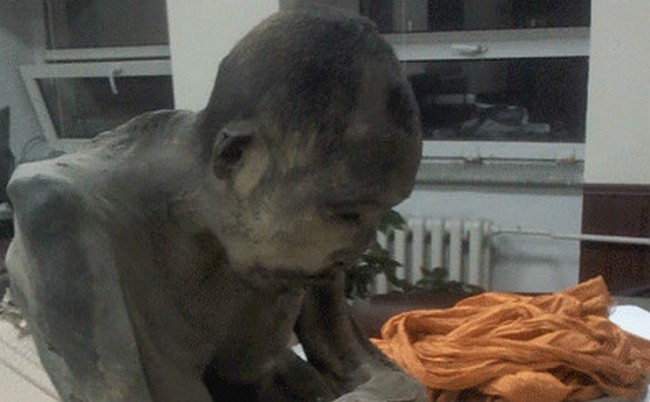 Našel jedinečnou mumii - senzace pro buddhisty