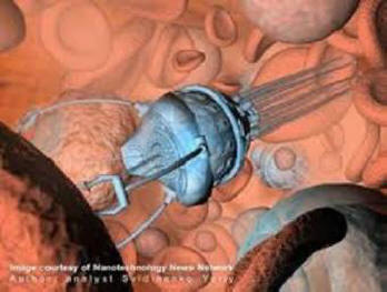 Nanoroboty vytvořené na základě DNA byly načteny do živých švábů