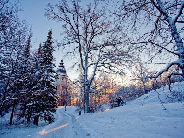 11. prosince lidové znamení 