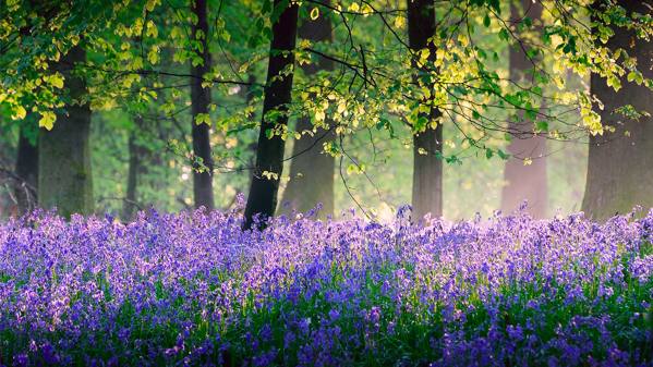 podepisuje 1. května 