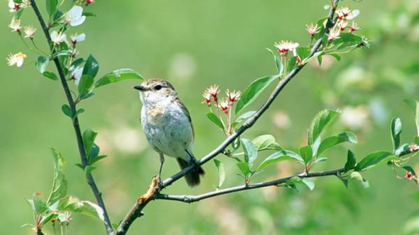 podepisuje 4. května 