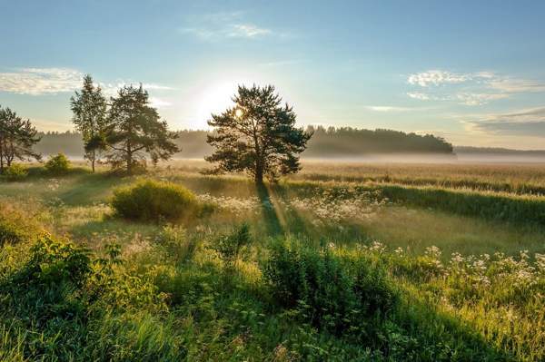 lidové znamení na červen 