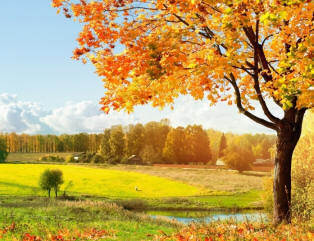 Lidové znamení za září