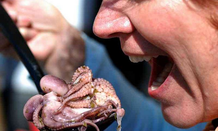 Přirozeně žijící jídlo