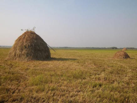 Neukradejte kouzelníkovi