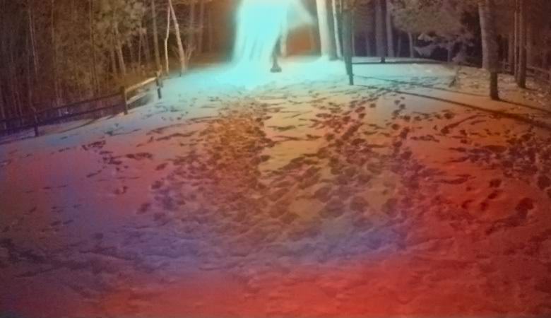 Něco neobvyklého spadlo do objektivu sledovací kamery