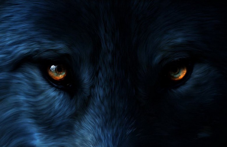 V Oklahomě se objevil subhumán se strašidelnými žlutými očima.