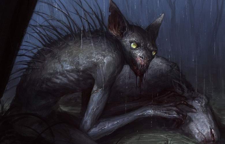 Neznámé monstrum záhadně pohltí vnitřní ovce v Indii