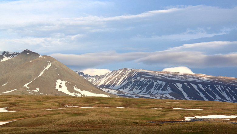 Němečtí vědci určili přesný věk Shigirova idolu