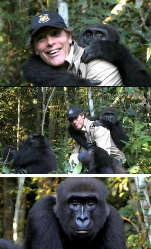 zvířata 111 Nějaký zřejmý důkaz, že zvířata mají duši