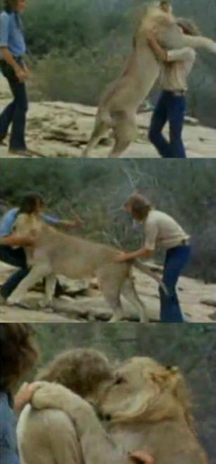 zvířata 41 Nějaký zřejmý důkaz, že zvířata mají duši