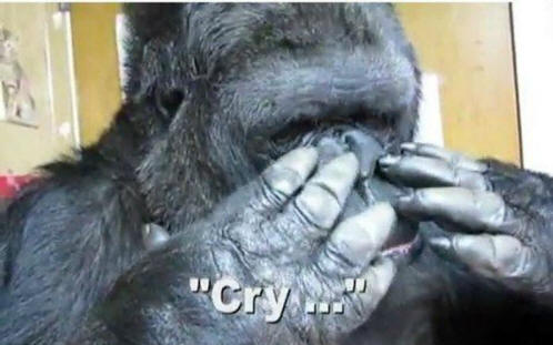 zvířata 51 Nějaký zřejmý důkaz, že zvířata mají duši.