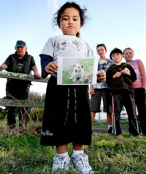 zvířata 71 Některé zřejmé důkazy, že zvířata mají duši