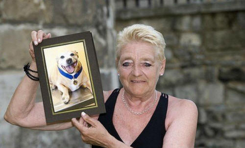 zvířata 101 Některé zřejmé důkazy, že zvířata mají duši