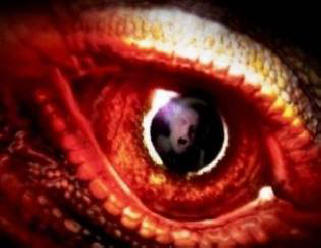 Neuvěřitelná setkání v oceánu