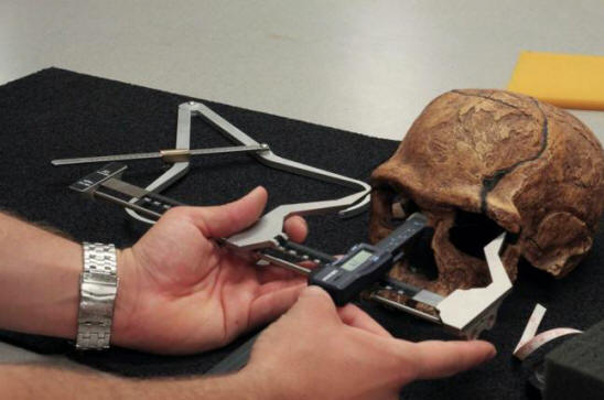 Nízký testosteron způsobil, že lidé byli více civilizovaní.