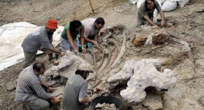 K obřím škorpiónům a podivným nálezům amerických vědců