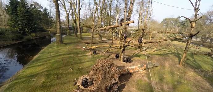 Opice sestřelily a prozkoumaly multikoptéry dokumentárních filmů