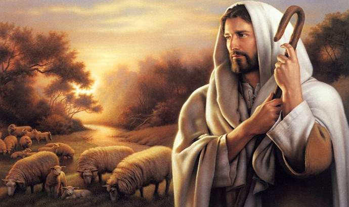 Obraz Krista byl zaznamenán na kmeni pokáceného stromu