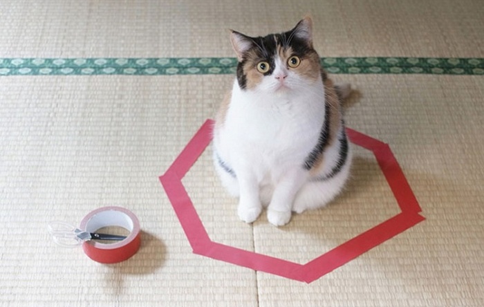 Načrtnutý kruh je dobrý, ale krabička je lepší.