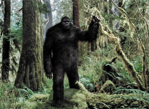 Svědci potvrzují existenci Bigfoot