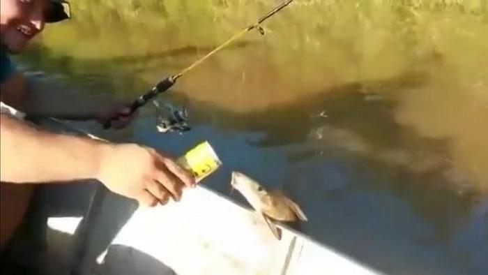 Ukázalo se, že i ryby milují pivo.