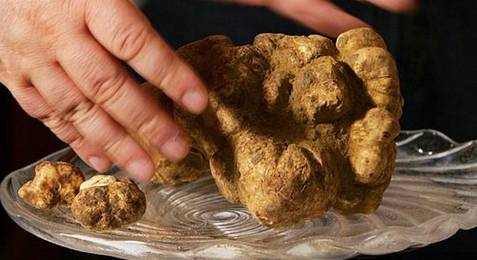 Překvapí nás a potěší nás.