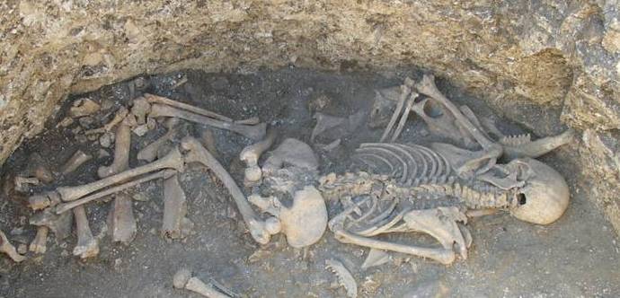 V Anglii byly objeveny zbytky divných zvířat Frankenstein.