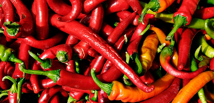 Papriky chrání vaše játra před poškozením.