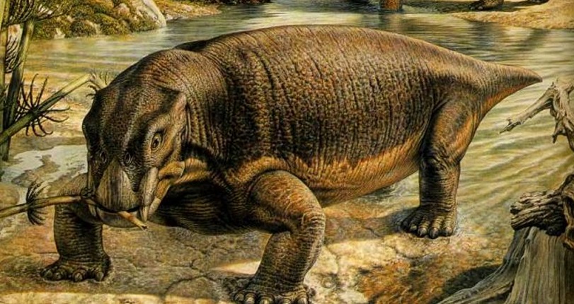 Polští paleontologové objevili pozůstatky obřího lidského předka