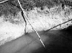 Petrohradský ufolog o mimozemšťanech, kteří krást půdu